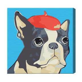 Micul bulldog într-o beretă 20x20 cm, pictură pe numere