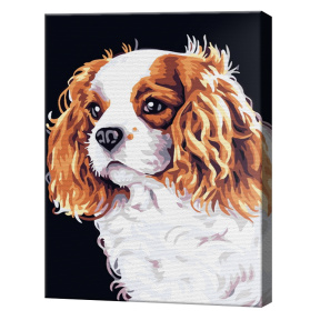 Spaniel 20x30 cm, pictură pe numere