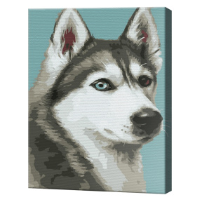 Husky 20x30 cm, pictură pe numere