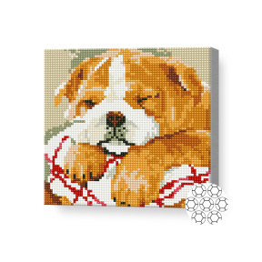 Спящий бульдог 20x20 см, алмазная мозаика