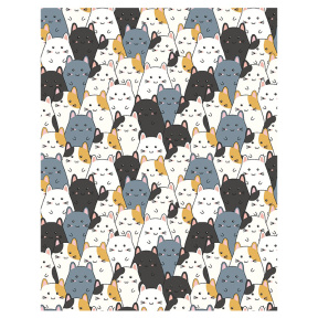 Caiet 24 foi, euro, linie îngustă, în sortiment