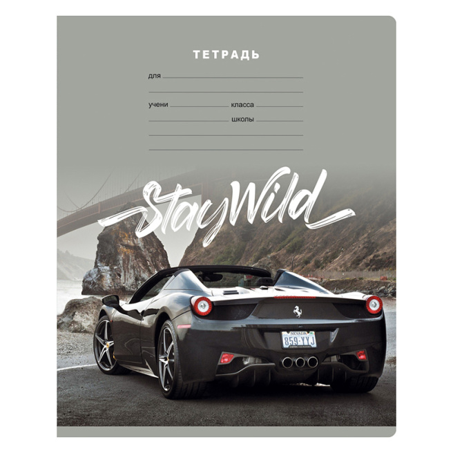 Тетрадь 12л. клетка BG "Stay wild"