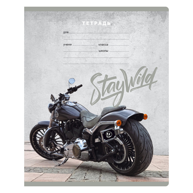 Тетрадь 12л. клетка BG "Stay wild"