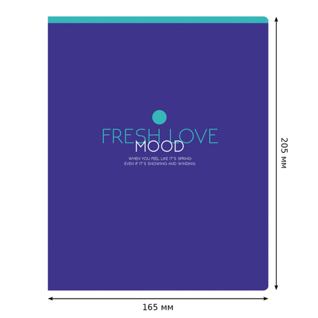 Тетрадь 80л. линейка BG "Monocolor. Mood"