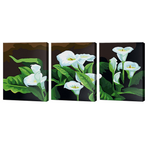 Calla, 40x50 cm, pictură pe numere-triptih