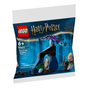 Конструктор LEGO Harry Potter Драко в Запретном лесу