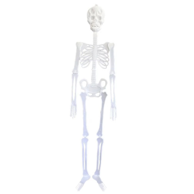 Accesorii de Halloween: Schelet luminescent, 29x11 cm