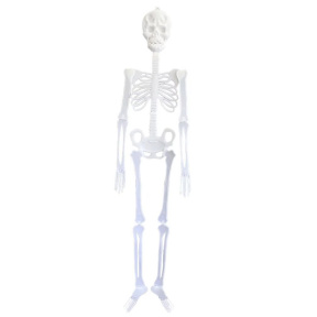 Accesorii de Halloween: Schelet luminescent, 29x11 cm