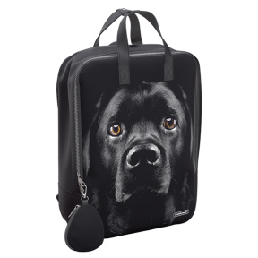 Ghiozdan EK StreetLine 16L Black Dog