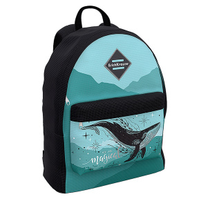 Школьный рюкзак ErichKrause EasyLine Moon Dreams