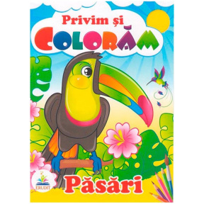 Privim și colorăm. Păsări
