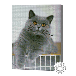 Забавный котик, 30х40 см, алмазная мозаика