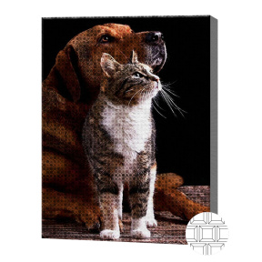 Дружба кошки и собаки, 30х40 см, алмазная мозаика