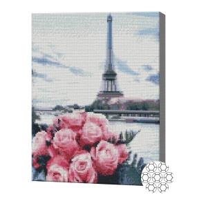 Розы в Париже, 30х40 см, алмазная мозаика