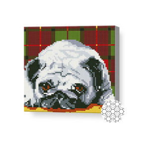 Mops adormit, 20x20 cm, mozaic cu diamante