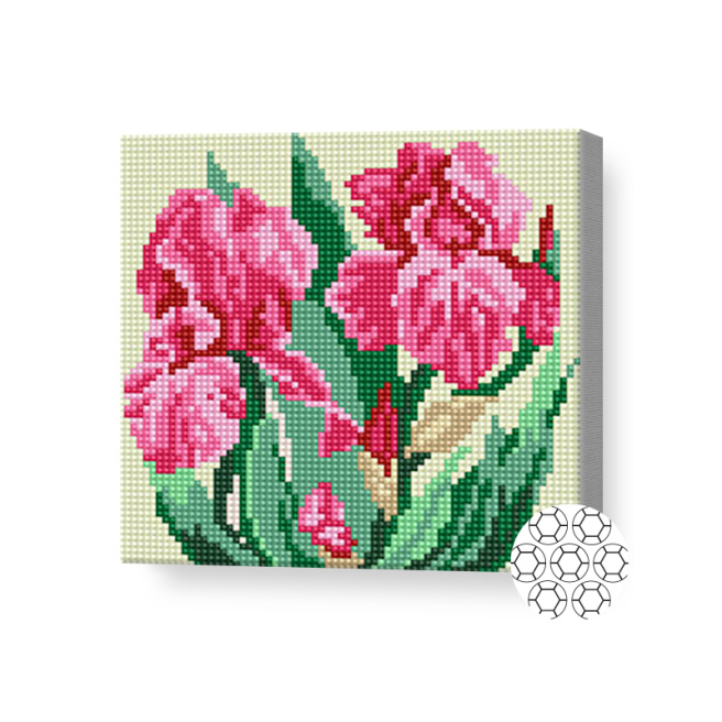 Розовые ирисы, 20x20 см, алмазная мозаика