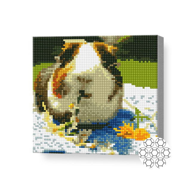 Морская свинка ест цветы, 20x20 см, алмазная мозаика