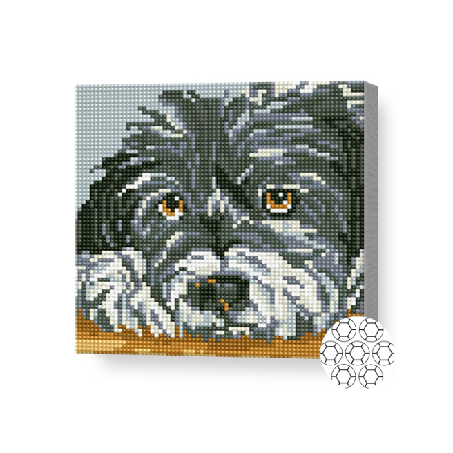 Серый пес, 20x20 см, алмазная мозаика