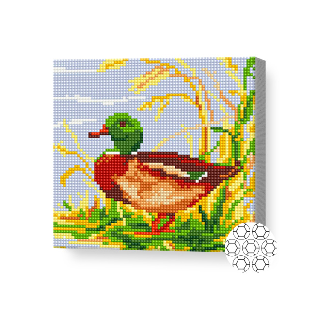 Селезень, 20x20 см, алмазная мозаика