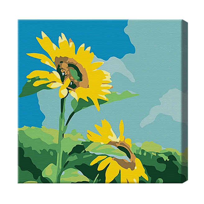 Câmp cu floarea soarelui 20x20 cm, pictură pe numere