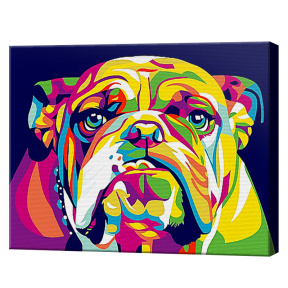 Bulldog curcubeu 20x30 cm, pictură pe numere