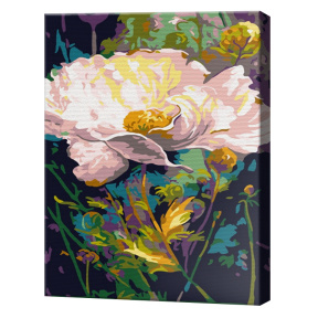 Floarea mare albă 20x30 cm, pictură pe numere