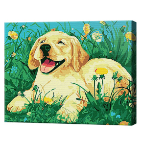 Labrador satisfăcut 20x30 cm, pictură pe numere