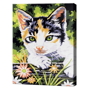 Motănaș calico 20x30 cm, pictură pe numere