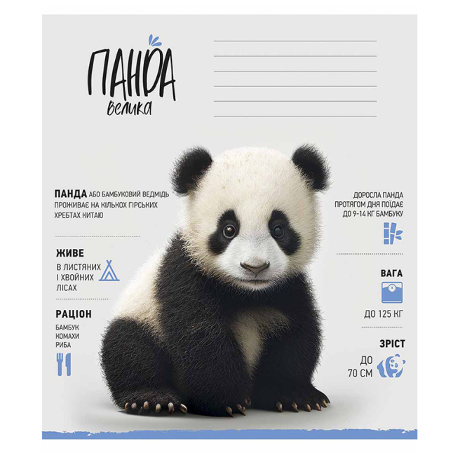 Тетрадь 12 листов, клетка, Школярик Wild world