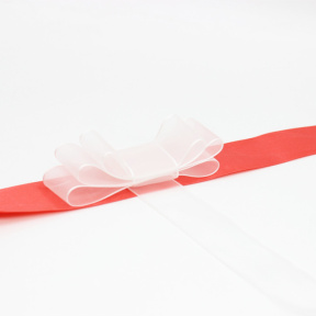 Panglică decorativă organza, Albă, 2.5 cm x 22 m