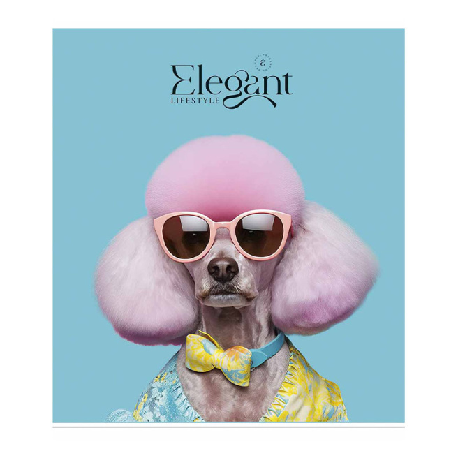 Caiet 60 foi, pătrățele, Shkolyarik Elegant portrets