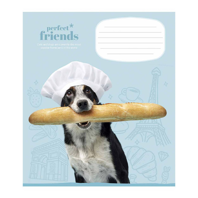 Caiet 12 foi, pătrățele, Shkolyarik Perfect friends
