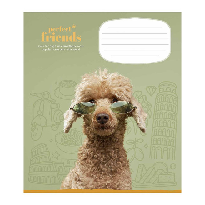 Caiet 12 foi, pătrățele, Shkolyarik Perfect friends