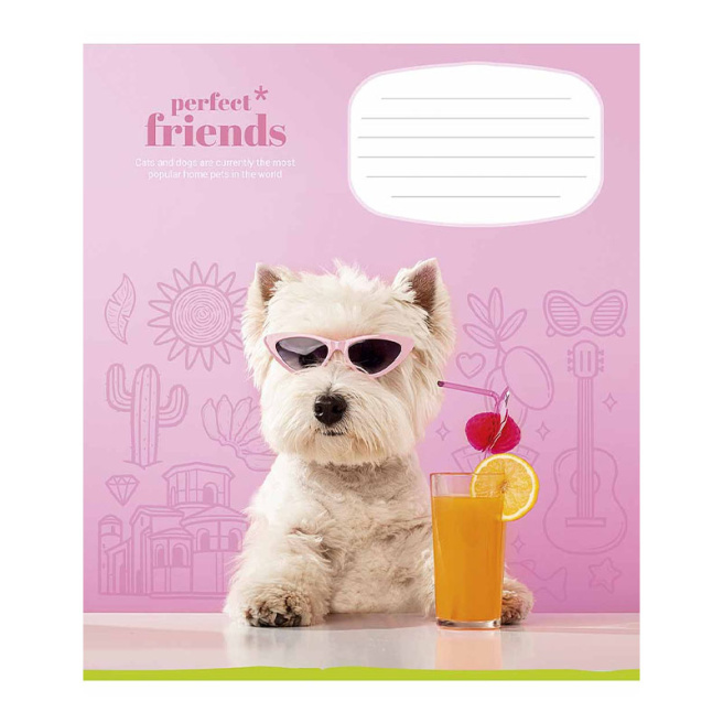 Caiet 12 foi, pătrățele, Shkolyarik Perfect friends