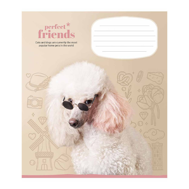 Caiet 12 foi, pătrățele, Shkolyarik Perfect friends