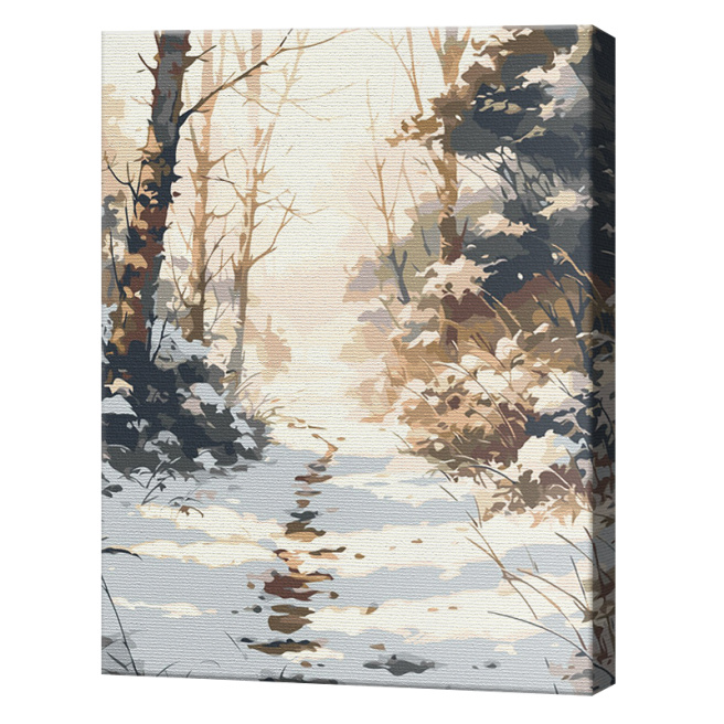 Drumuleț înzăpezit, 40x50 cm, pictură pe numere