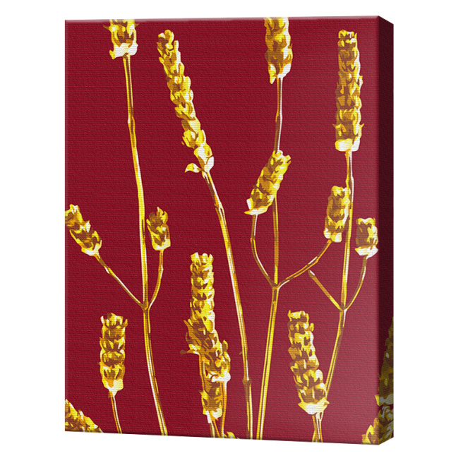 Plantă aurie, 40x50 cm, pictură pe numere