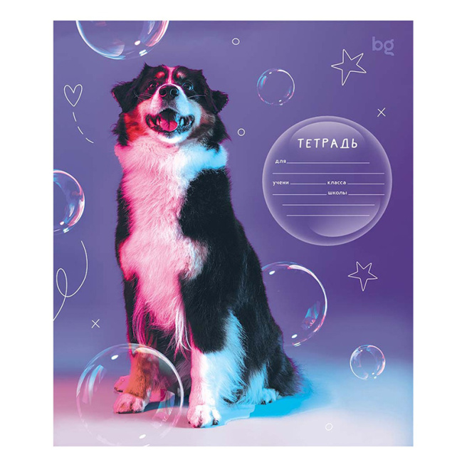 Caiet 12 foi linie oblică deasă BG "Dogs"