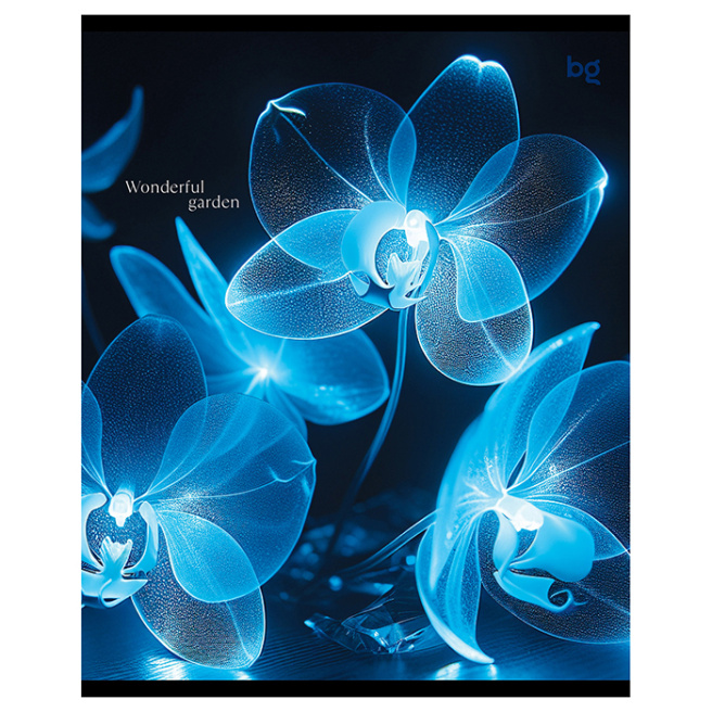 Caiet 48 foi linie BG "Wonderfull garder"