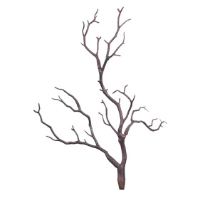 Decor pentru creație, Ramură 33 cm, maro