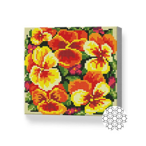 Оранжевые и желтые фиалки, 20x20 см, алмазная мозаика