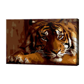 Серьезный тигр, 20x30 см, картина по номерам
