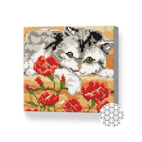 Котенок и маки, 20x20 см, алмазная мозаика