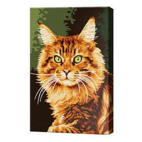 Рыжий кот, 20x30 см, картина по номерам