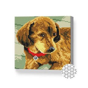 Бурый щенок, 20x20 см, алмазная мозаика