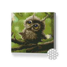 Уставшая совушка, 20x20 см, алмазная мозаика