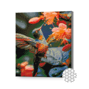 Колибри, 30x40 см, алмазная мозаика