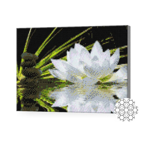Белая кувшинка, 30x40 см, алмазная мозаика