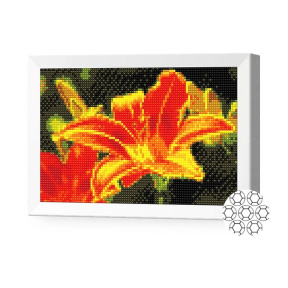 Огненная лилия, 20x30 см, алмазная мозаика