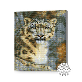 Снежный барс, 30x40 см, алмазная мозаика